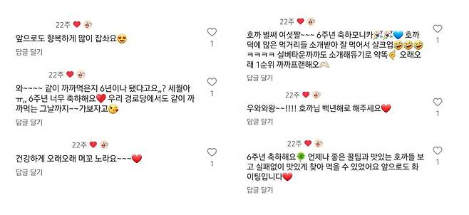 호까의 구독자들은 호까를 마치 실제 친구처럼 대한다_출처 : 호기심까까