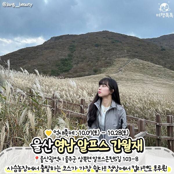 억새 명소 추천 / ⓒ여행톡톡