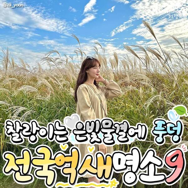 억새 명소 추천 / ⓒ여행톡톡