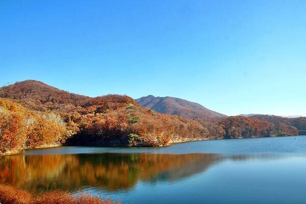 출처: 경기관광포털 (수도권 단풍 여행)