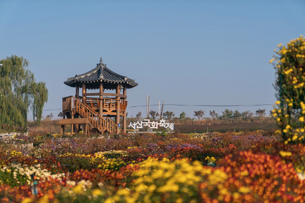 과거 ‘서산국화축제’ 현장 모습. 충남 서산시