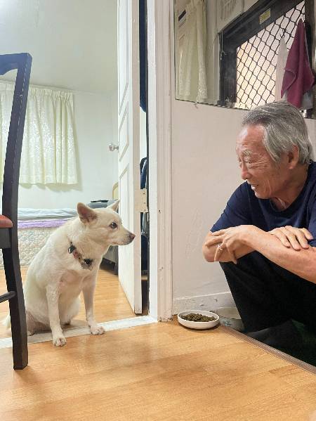 바라보기만 해도 다 안다. 뭘 원하는지, 어떤 마음인지. 세월이 흐르는 속도도 다르고, 생긴 것도 다르고, 언어도 다르지만 그래도 다 안다. 그게 가족이다./사진=남형도 기자