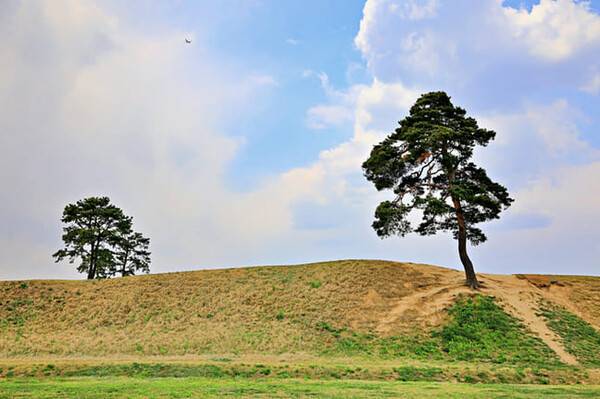 온라인 커뮤니티