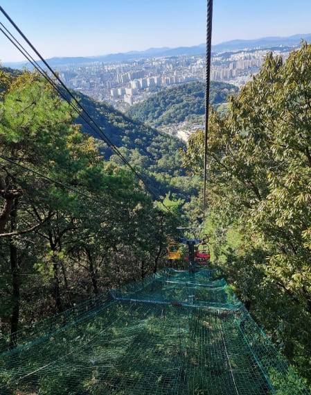 온라인 커뮤니티