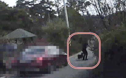 지난 5일 경북 성주군 대가면에서 60대 남성이 개에게 물려 다리를 다치고 손가락이 절단되는 사고를 당했다. 보배드림 영상 캡처