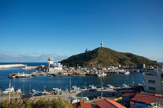 경북 영덕 축산항을 품은 죽도산에는 '축산 등대'와 죽도산 전망대가 있다. 전망대에 오르면 발 아래 대나무군락과 망망대해가 펼쳐진다. 축산항은 소박한 어촌의 정취를 느낄 수 있는 곳이다. / 양수열 영상미디어 기자