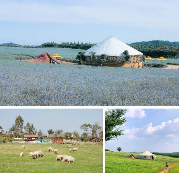 온라인 커뮤니티