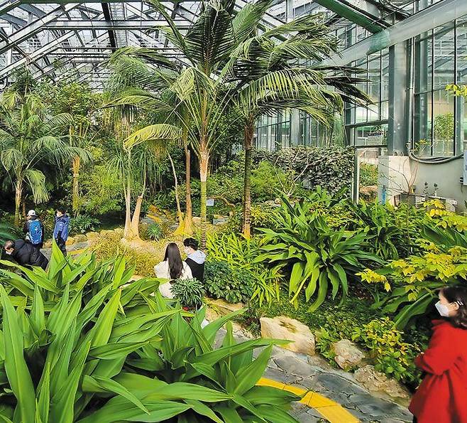 아열대 온실 - 완도수목원을 찾은 방문객들이 수목원 내 아열대온실을 둘러보고 있다. /김영근 기자