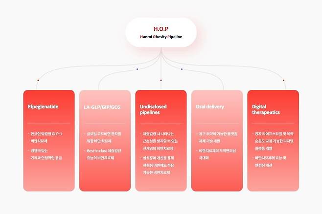 한미약품이 올해 9월 발표한 ‘H.O.P(한미 비만 파이프라인)’ 프로젝트 구성도. 이 프로젝트는 글루카곤 유사 펩타이드-1(GLP-1) 비만치료제를 신성장 동력으로 선택했다. /한미약품 제공