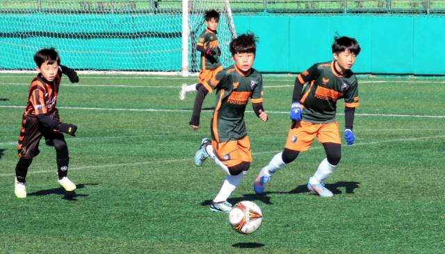 ▲ 제27회 리틀K리그 전국유소년 축구대회 왕중왕전이 지난 11일과 12일 동해시 웰빙레포츠타운 종합운동장 등 6곳의 경기장에서 진행돼 5개 부문의 우승팀이 결정됐다.