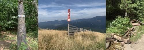 (좌로부터)나무에 표시된 트레킹 이정표, 갈대밭 사이로 난 트레킹 코스, 트레킹 중간지점에 있는 온천수