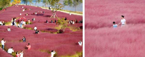 온라인 커뮤니티