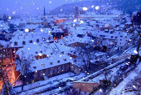 온라인 커뮤니티