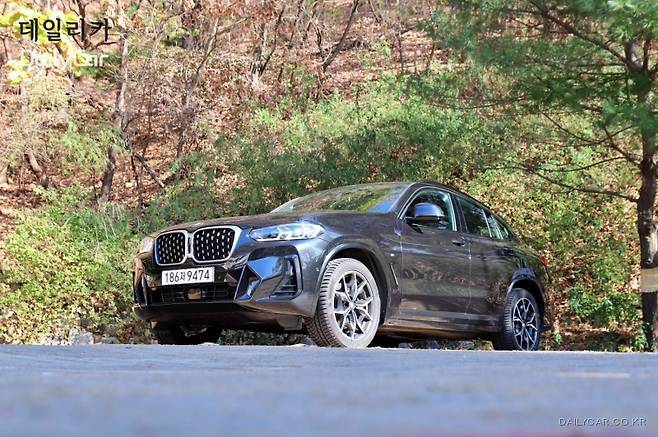 BMW, X4 xDrive20i