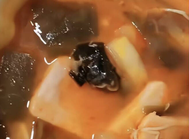 중국의 한 누리꾼이 올린 영상. 즉석 마라탕에 박쥐 몸체로 추정되는 검정색 이물질이 있다. [SNS 갈무리]