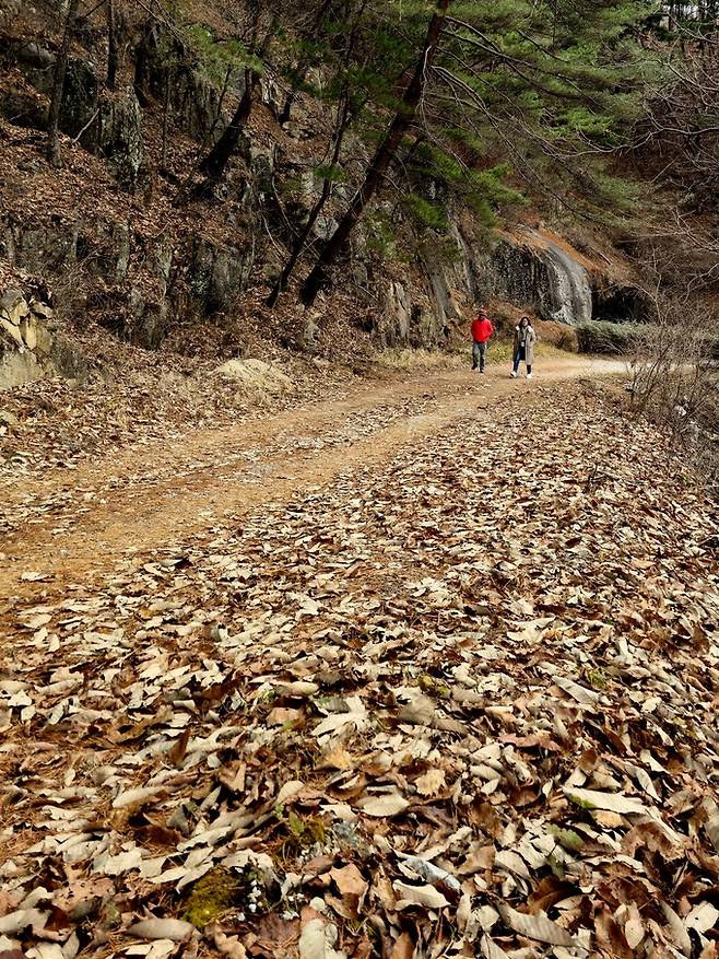 싸리치옛길 낙엽.