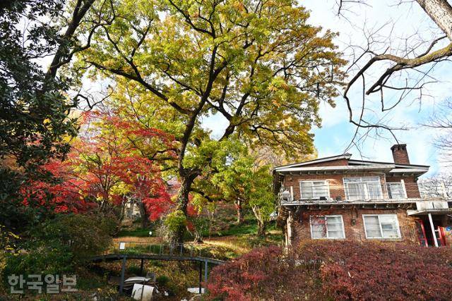 지난달 30일 양림동 선교사 사택 주변에 단풍이 곱게 물들어 있다.