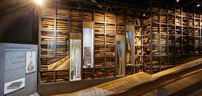 목포해양유물전시관에 전시된 자단목. 고급 가구재로 쓰이는 자단목이 선체의 밑바닥에 1017점이나 깔려 있었다. 목포해양유물전시관 제공