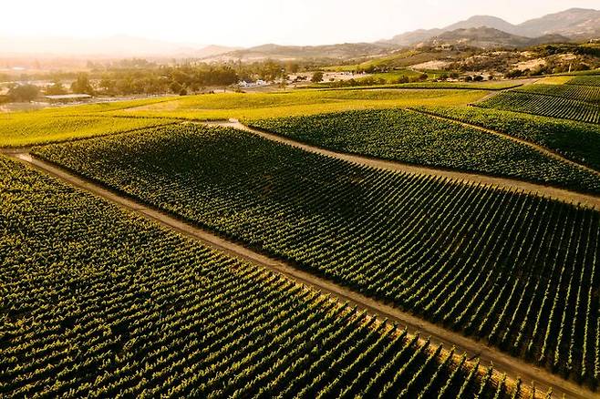 소다 캐넌 랜치 전경.