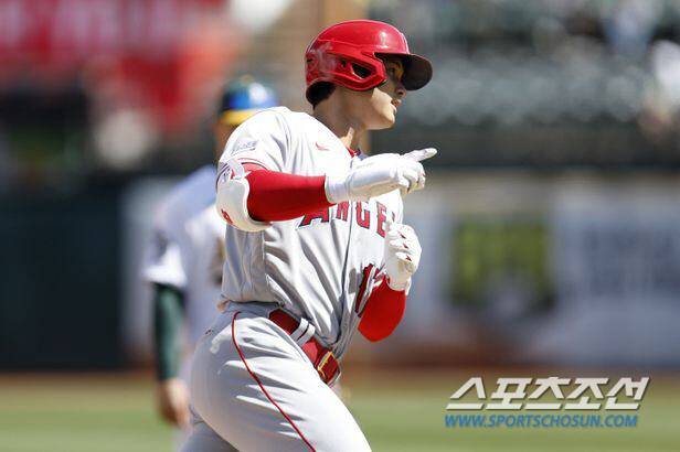 오타니 쇼헤이. AP 연합뉴스