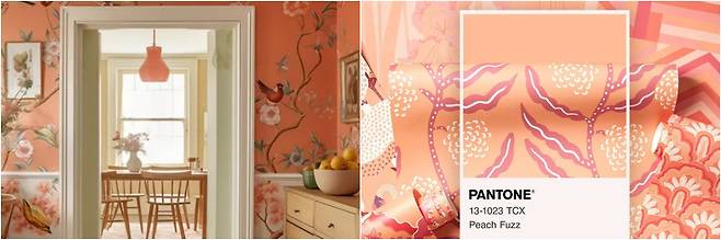 도배지 및 패브릭 제작업체인 스푼플라워(Spoonflower)가 제시한 Peach Fuzz 도배지 컬렉션. 출처: 스푼플라워.