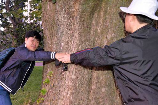 이재명 더불어민주당 대선 후보와 고(故) 김문기 성남도시개발공사 개발1처장이 지난 2015년 1월 7일 뉴잴린드 오클랜드 알버트 공원에서 손을 맞잡고 있는 모습. /사진=고 김문기 처장 유족 측 제공