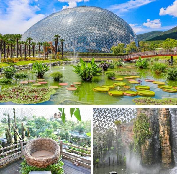 온라인 커뮤니티