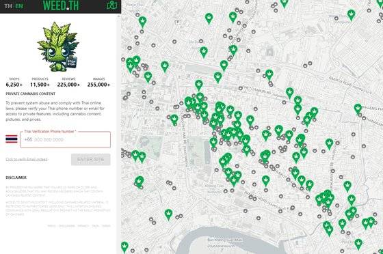 태국의 대마 관련 사이트. 대마 판매점이 6500개가 넘는다고 안내하고 있다. 사진 'weed.th' 캡처