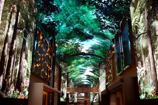 온라인 커뮤니티