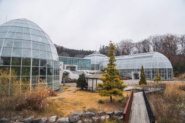 온라인 커뮤니티