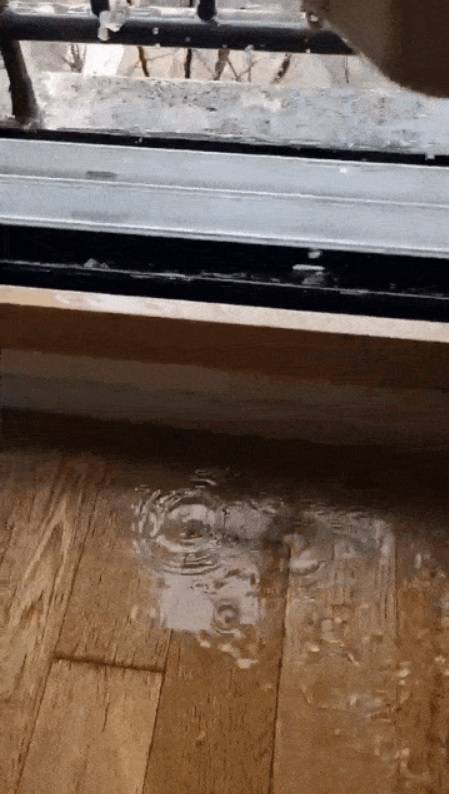 인스타그램 등 각종 온라인커뮤니티 캡처