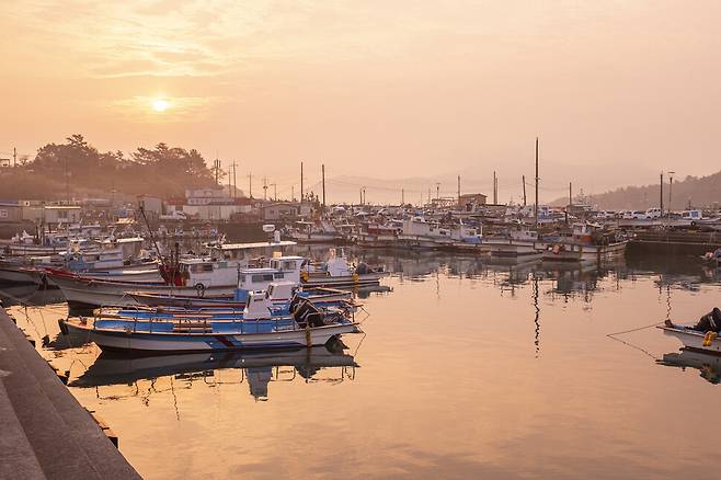전남 고흥 녹동항의 아침 풍경.
