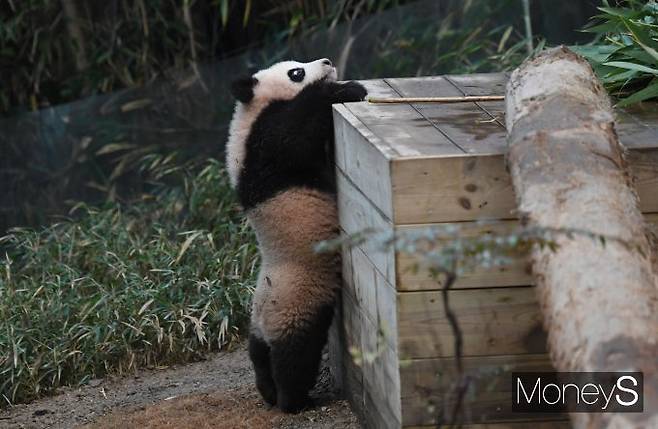 '영차!'/사진=장동규 기자