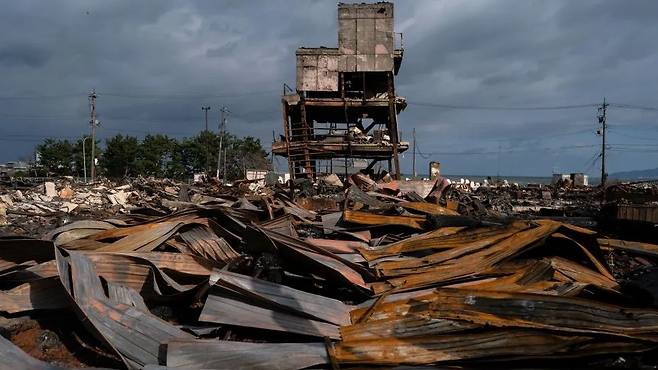 이시모리에 따르면 NERV 운영 비용은 연간 약 11억원 수준이다