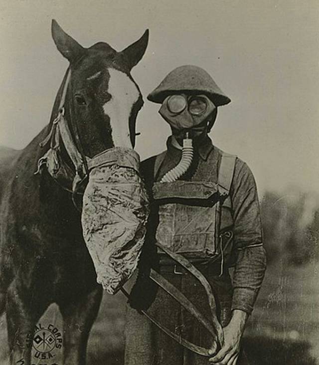 ▲ 제1차 세계대전 당시 방독면을 쓴 병사와 말. 독가스로 말미암아 7만 3000명이 죽고 100만 명이 다쳤다. 이시이 시로는 유럽에서의 화학전을 조사하면서 독가스는 물론 세균무기 개발을 목표로 삼았다. ⓒ위키미디어