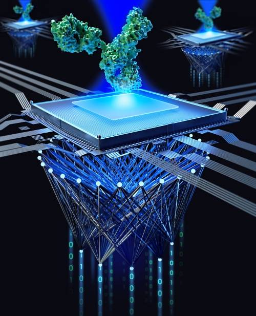 미국 과학자들이 인간의 개입 없이 단백질을 설계할 수 있는 완전히 자동화된 AI 로봇을 개발했다. 이번 AI 로봇은 신약 개발이나 신물질 발견에 걸리는 시간과 비용을 획기적으로 줄여줄 것으로 보인다. 독일 막스 플랑크 광과학연구소 제공
