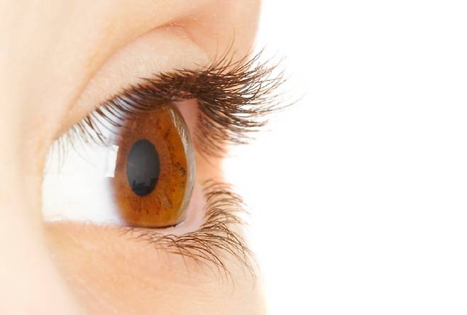 눈의 구조상 속눈썹은 눈 뒤로 넘어갈 수 없다./사진=게티이미지뱅크
