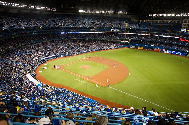 기사내용과 무관한 사진 = 이미지 제공 freepik