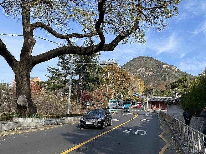 김상헌의 집은 육상궁(오른쪽 대문)과 담을 붙이고 현재의 무궁화동산과 교황청대사관 자리에 있었을 것으로 추정된다. 오른쪽 담장이 청와대, 왼쪽 나무 뒤쪽이 무궁화동산이다. 김규원 선임기자