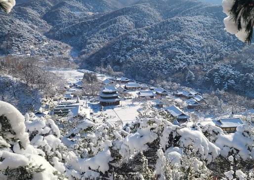 온라인 커뮤니티