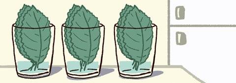 일러스트=이철원