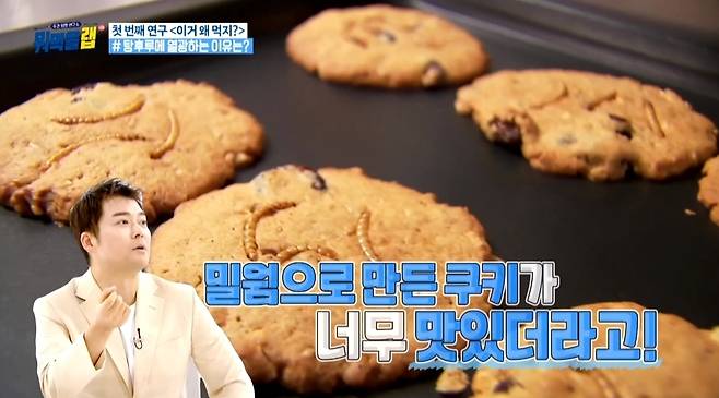 MBC ‘뭐먹을랩’ 선공개 영상 캡처