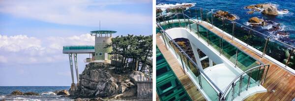 양양 가볼만한 곳 추천 / 온라인 커뮤니티