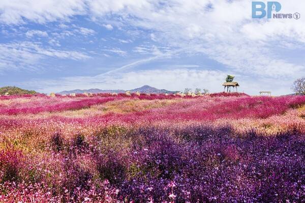 출처 = 게티이미지뱅크