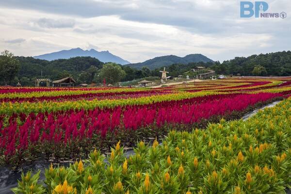 출처 = 게티이미지뱅크