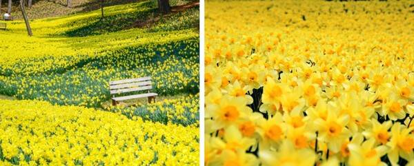 서산 가볼만한 곳 추천 / 온라인 커뮤니티