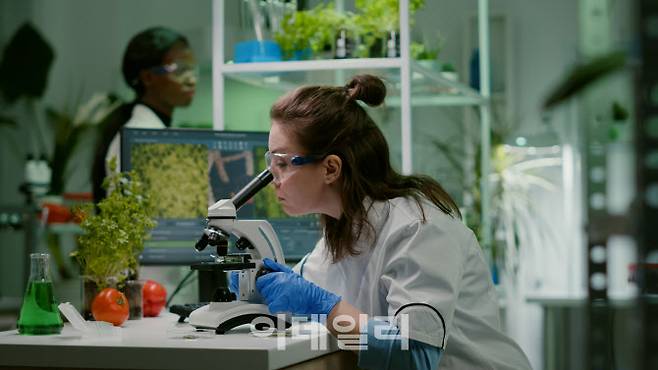 (사진=이미지투데이)