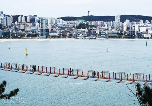 대왕암공원 출렁다리 뒤로 일산해수욕장이 보인다.
