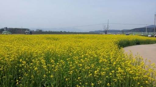 경산 가볼만한 곳 BEST 5 / 온라인 커뮤니티