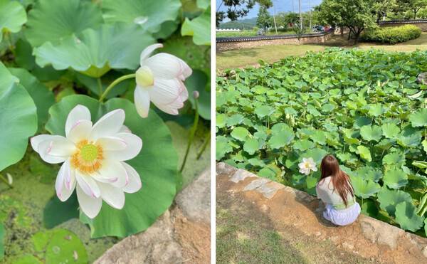 시흥 가볼만한곳 BEST 7 / @suin2_